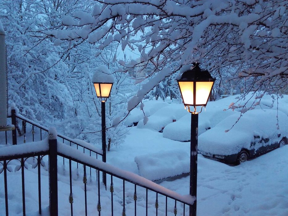 Осветление за дом градина парк