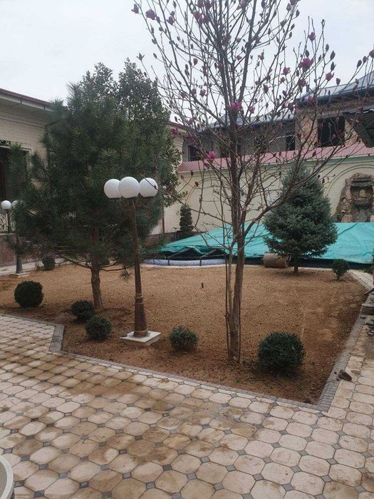 Газон рулонный Gazon посевной