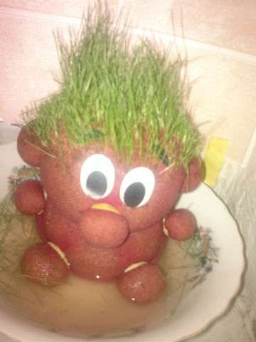 Растущие игрушки. Травянчики