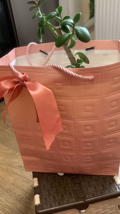 Цветы подарок на Праздник