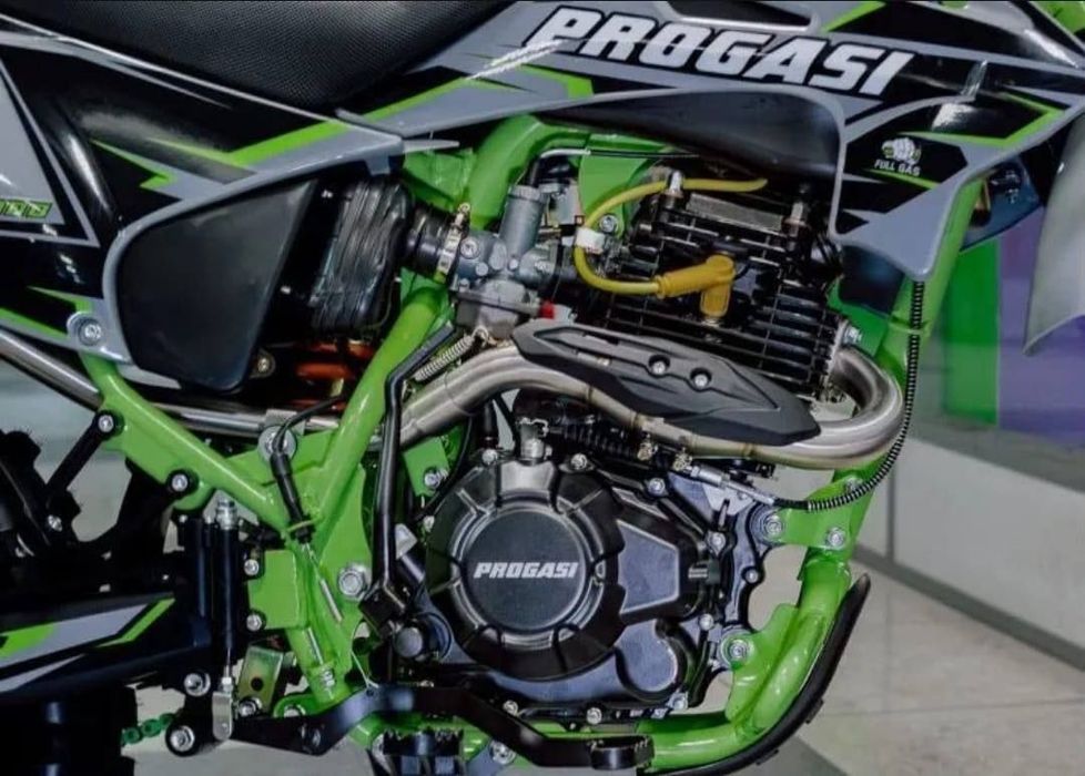 Прогаси Пальма 300 куб.см