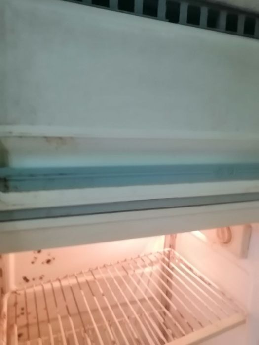 Продам рабочий холодильник ОРСК!