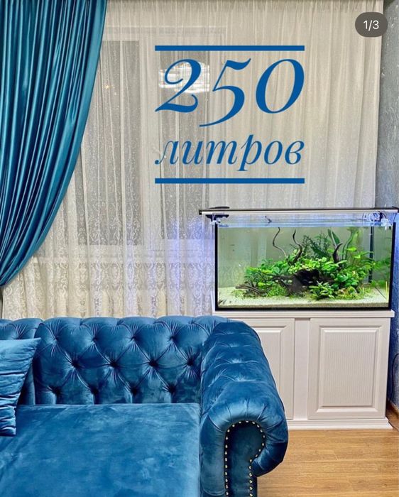 Эксклюзивные аквариумы под заказ
