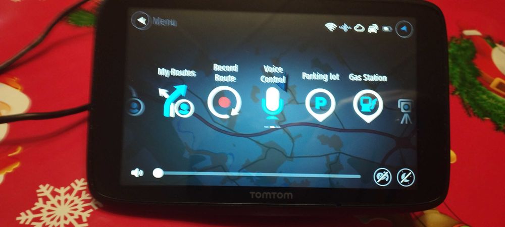 Navigație  auto profesionala