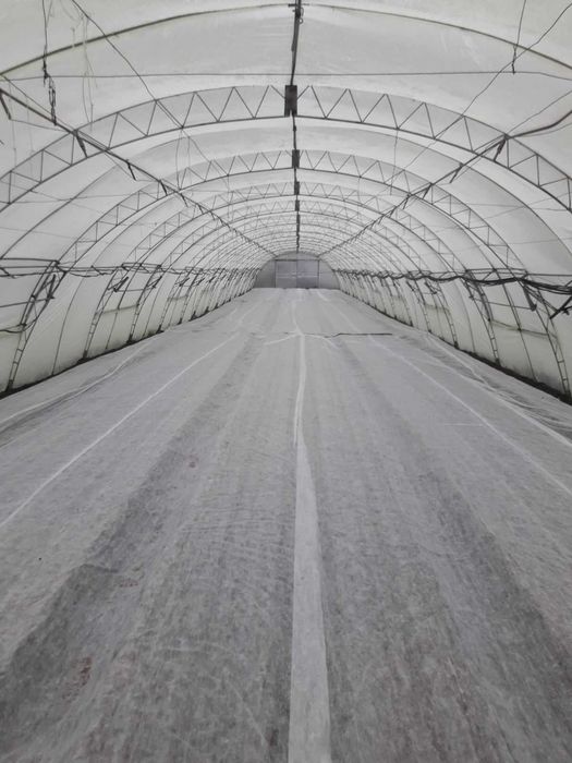 Продавам разсад за Пипер,Домати,Краставици