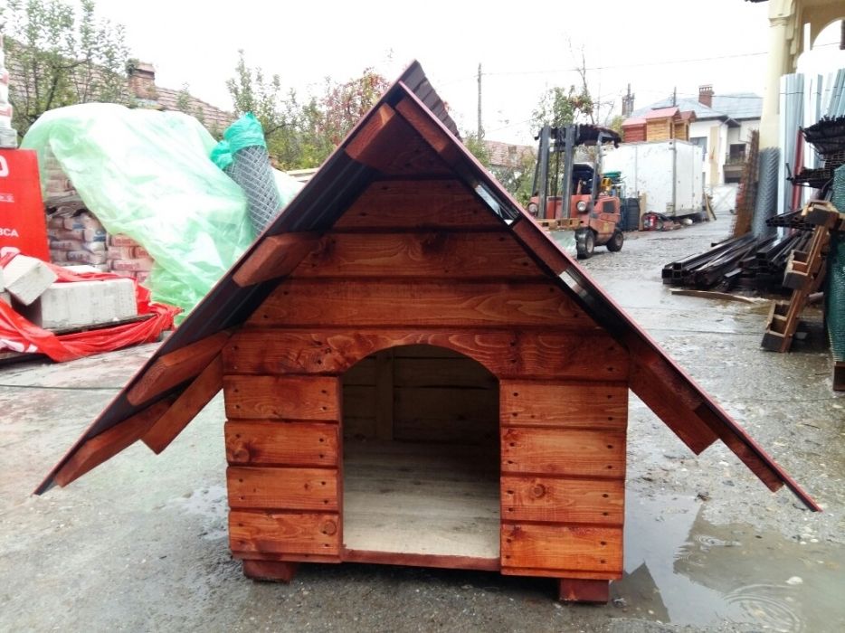 Cusca caine(diferite marimi)