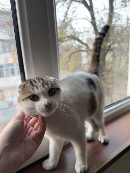 Срочно продается!!