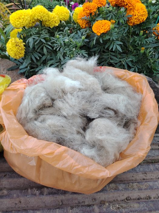 Продам собачью шерсть