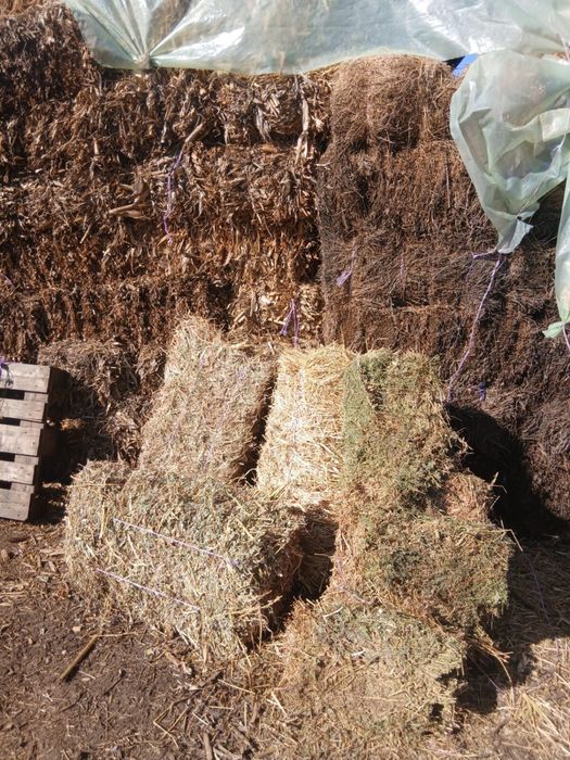 Vand baloti de lucerna