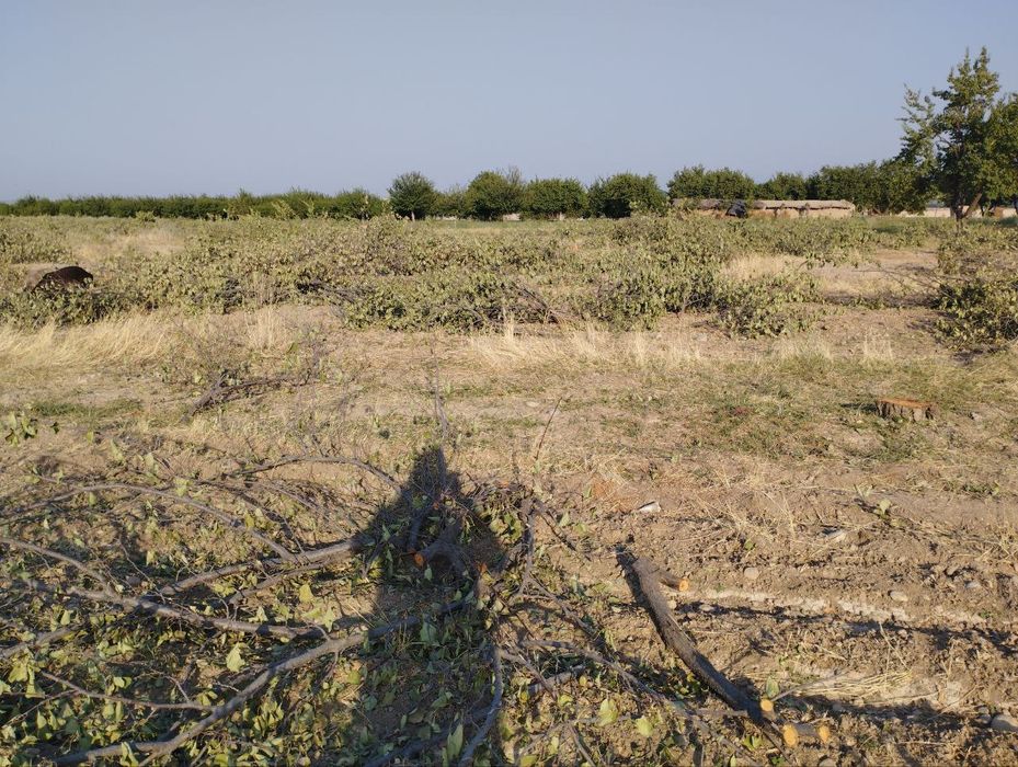 Урик Утин сотилади