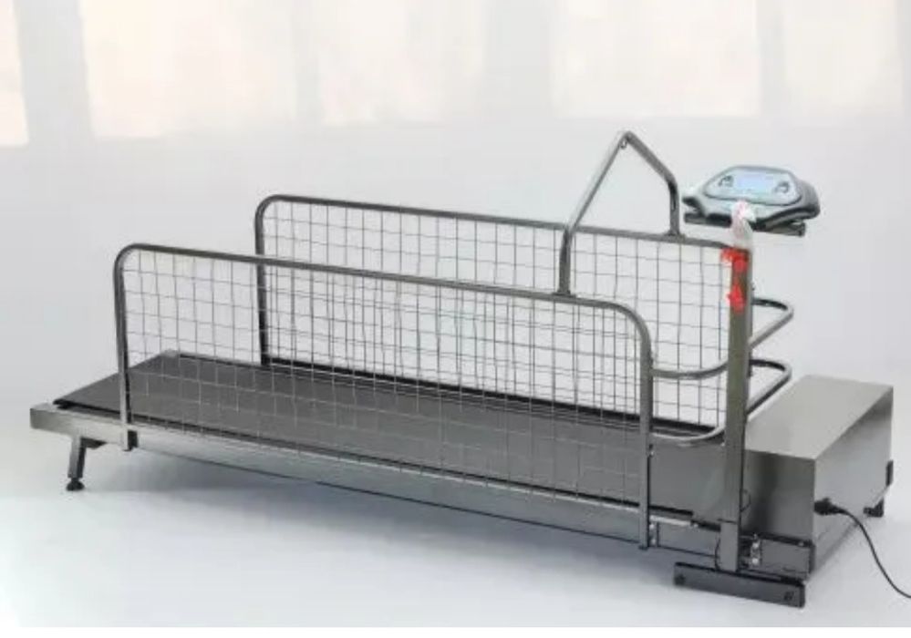 продам беговую для собак