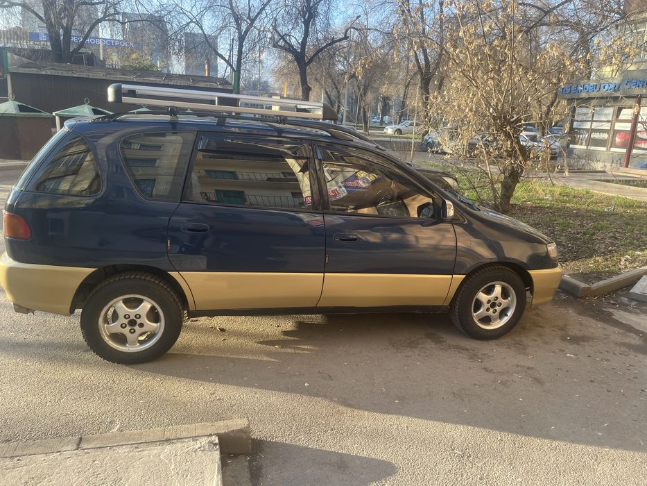 Тайота ипсум званите