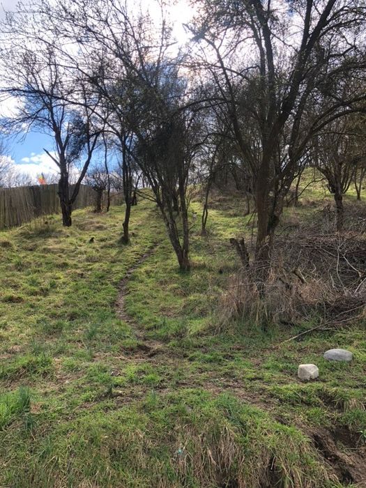 Teren intravilan 1.000 mp, Rm Valcea – punct "Buda", panoramă deosebită, toate utilitățile