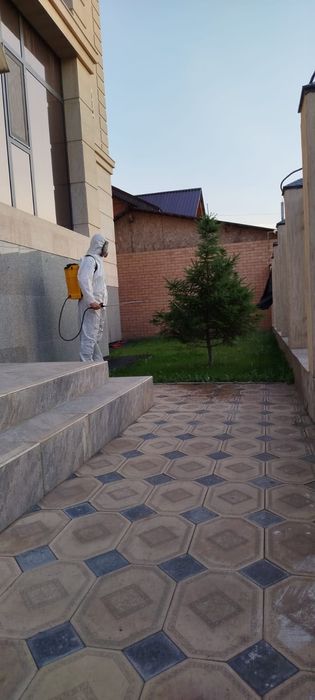 Обработка от вредителей и болезней