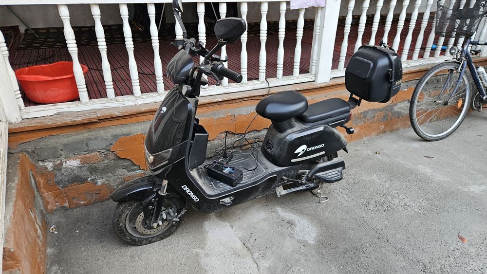 Drongo skuter xolati oʻrta