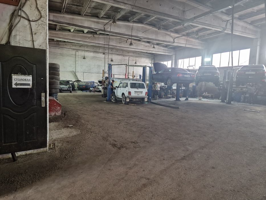 Сдам подёмники в СТО