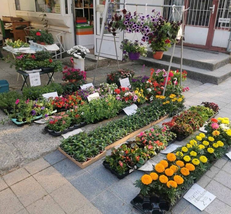 Цветя, букети, аранжировки, венци в град Пещера