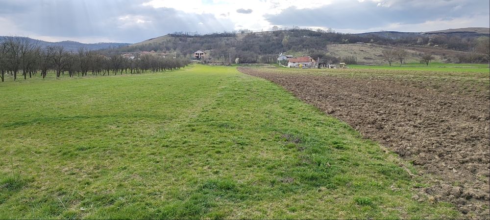 Teren extravilan situat intre case,intrare sat Maceu
