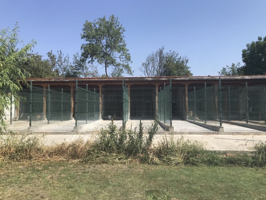 Имот в село Брягово на 50 км от град Пловдив в полите на Родопите