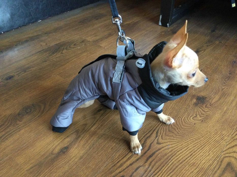 НОВ топъл сив зимен гащеризон за куче от Италия S и M размер