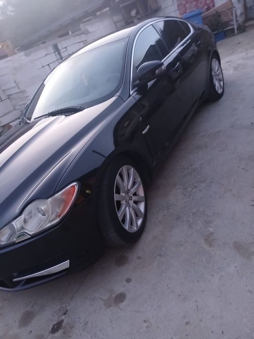 Vand jaguar an stare pefecta