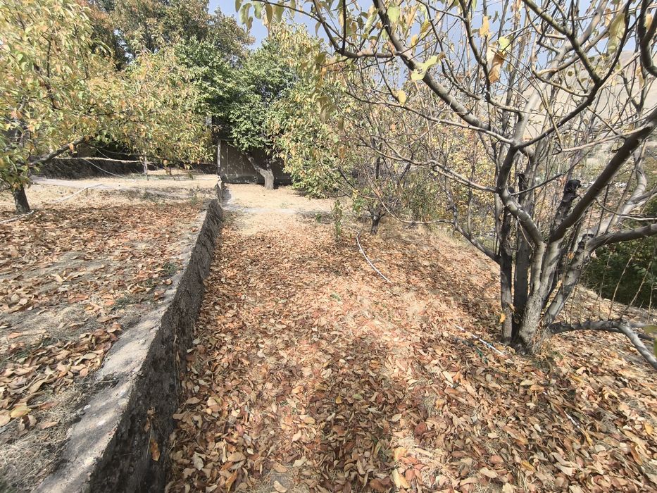 Srochno dacha sotiladi