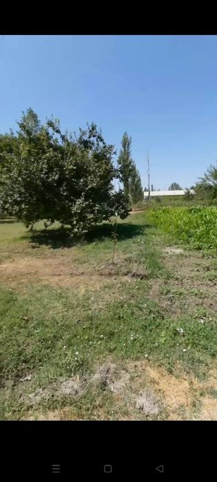 СРОЧНО! Продаётся участок  В Таш.области 13 соток(СВОЁ)