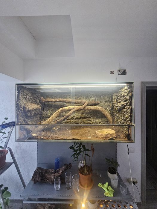 Terarii diferite dimensiuni