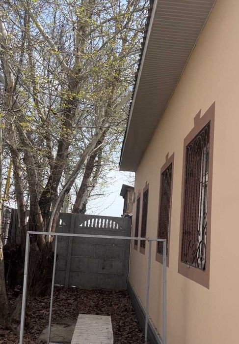 Уй Янгийул туманида