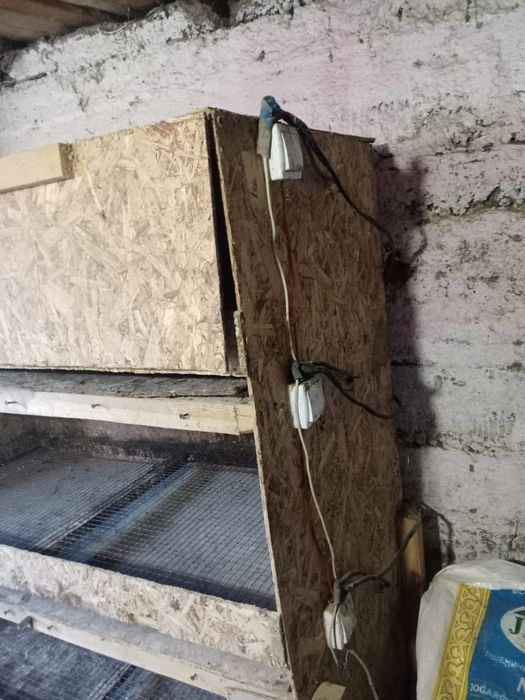 Брудер для цыплят