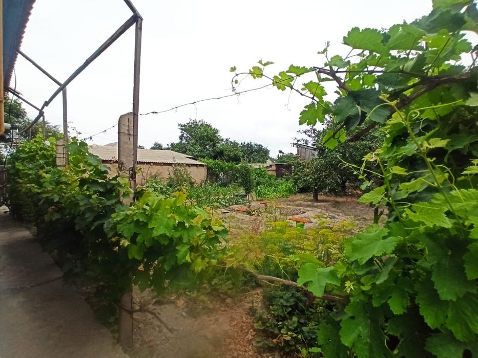 Продам дом 7 комнат