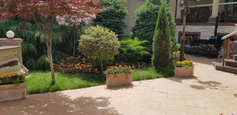 Уход за растениями