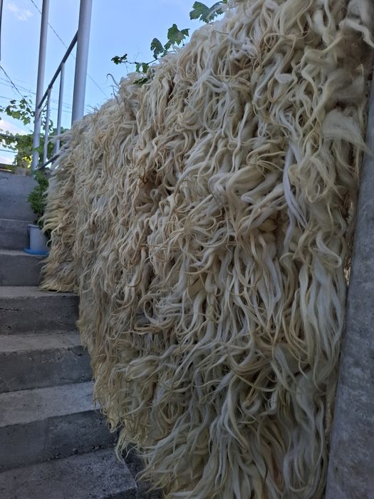 Китеник, губер, халище