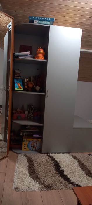 Set mobilier(pat, dulap, ladă)