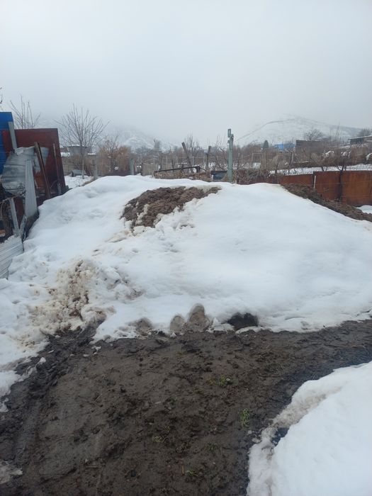 Одам навос даром. Сомавывес.  навос чистый