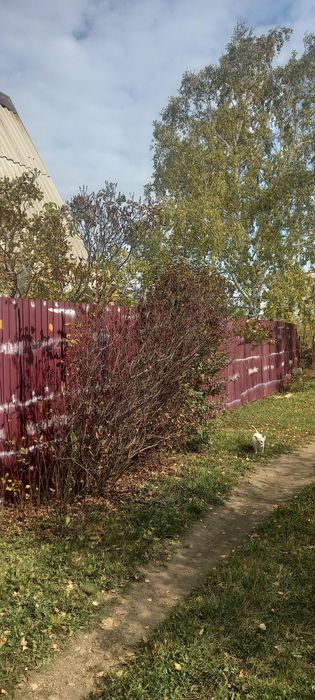 Дача по зерендинской трассе