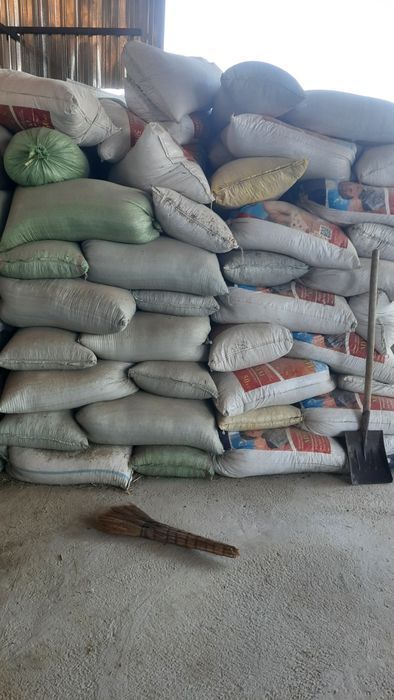 Куй нури сотилади