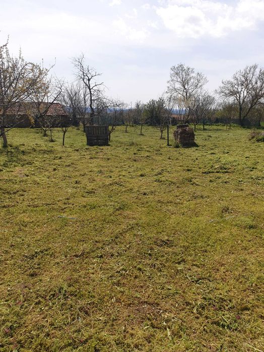 ИМОТ В с.КРИВНЯ ДВА ПАРЦЕЛА, КЛАДЕНЕЦ ПАРТИДИ ЗА ТОК И ВОДА