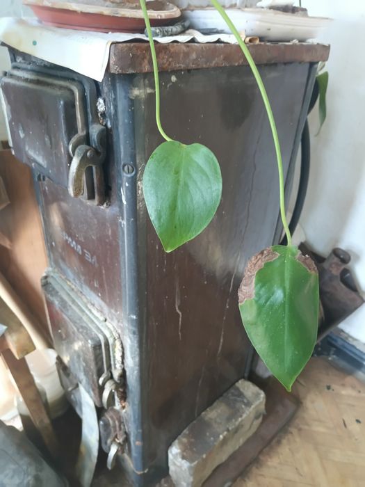 Печка за дърва и въглища