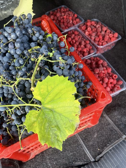 Консервация домашняя