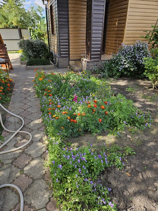 Продам дачный участок