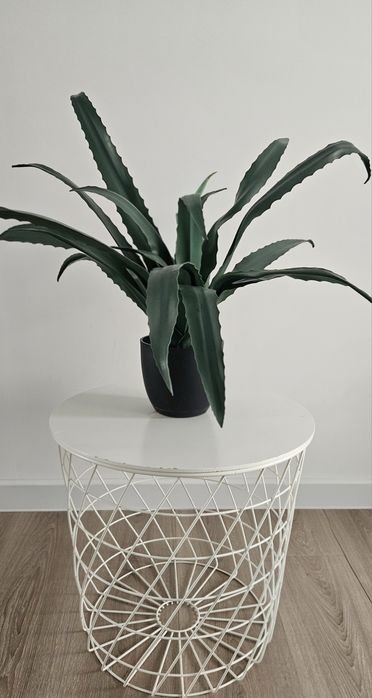 SUPER OFERTA Masuta de cafea