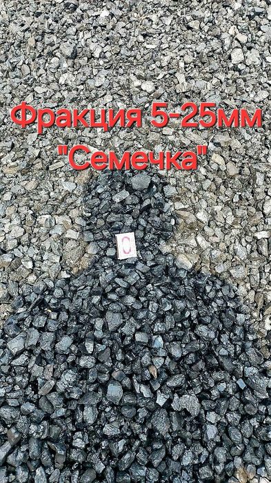 Шубаркуль. Семечка