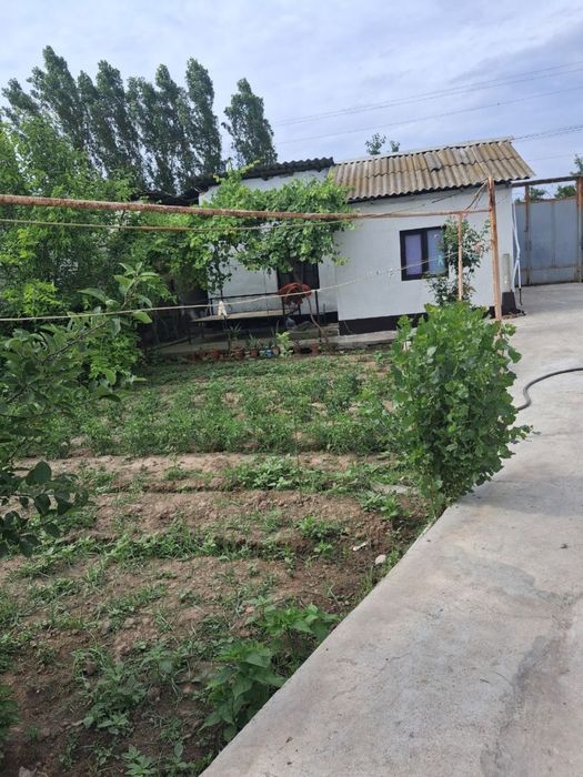 Toy tepa hovli 2.5 sotix