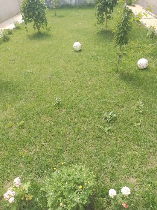 Продаётся дом. Кибрайский район. Ункурган