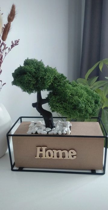 Bonsai din licheni