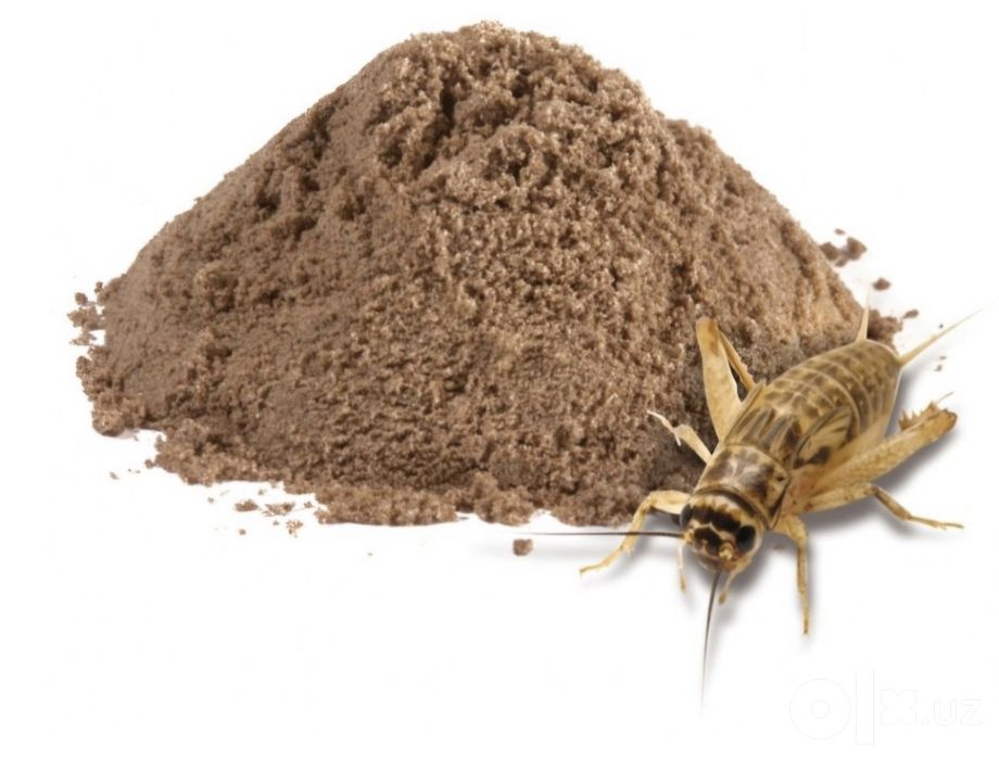 МУКА СВЕРЧКОВАЯ ( chigirtka uni ) tabiiy protein
