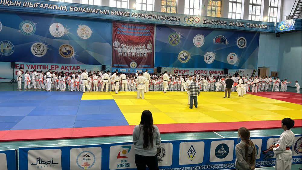 Полики на хюндай туксон