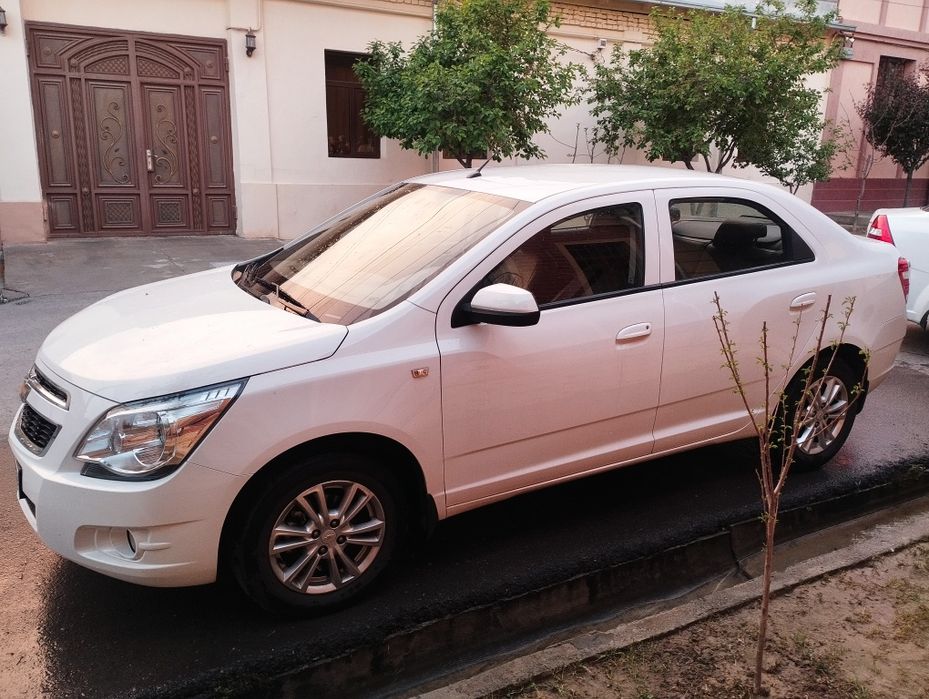 Arenda cobalt kraska toza