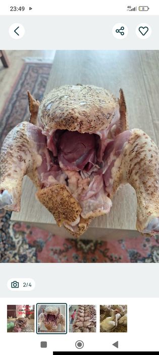 Gaini taiate de carne